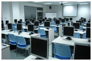 探究大連東軟睿道實(shí)訓(xùn)在軟件開發(fā)領(lǐng)域的表現(xiàn)