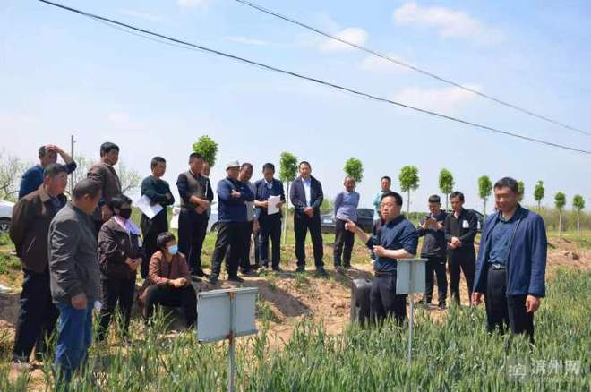 科技特派員賦能濱州田野，精準(zhǔn)服務(wù)播撒鄉(xiāng)村振興新希望